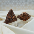 Samsa Roché Chocolat